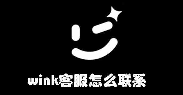 wink客服怎么联系 wink联系客服的方法