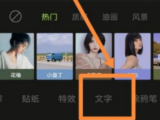 醒图怎么把字竖着 醒图添加竖排文字步骤分享