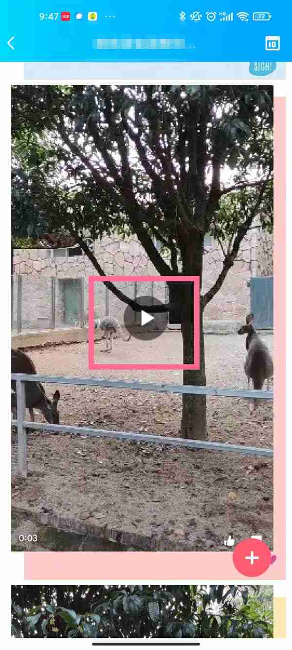 qq相册视频如何保存至手机 qq储存相册视频方法介绍