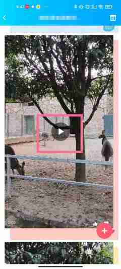 qq相册视频如何保存至手机 qq储存相册视频方法介绍