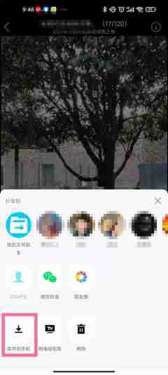 qq相册视频如何保存至手机 qq储存相册视频方法介绍