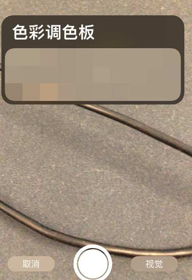 procreate pocket怎么拍照取色