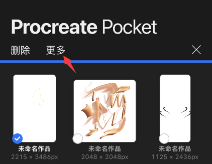 procreate pocket怎么预览作品