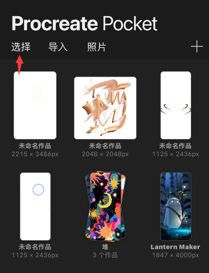 procreate pocket怎么预览作品
