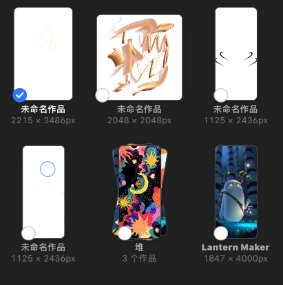 procreate pocket怎么预览作品