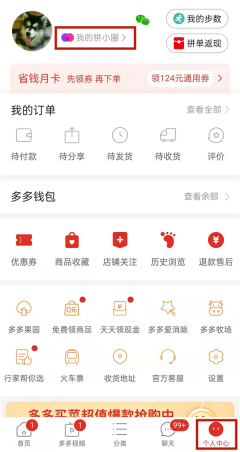 拼多多勋章墙在哪里查看 拼多多查询获得勋章教程一览