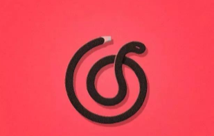 网易云音乐怎么更换村民证形象 网易云音乐重设云村证件照形象步骤一览