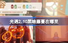 光遇2.10黑暗藤蔓在哪里 光遇2月10日染料位置攻略