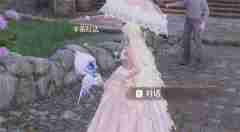 无限暖暖与盛大花焰合影任务怎么做 无限暖暖与盛大花焰合影任务完成技巧全流程解析