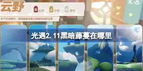 光遇2.11黑暗藤蔓在哪里 光遇2月11日染料位置攻略