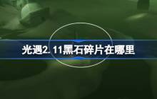 光遇2.11黑石碎片在哪里 光遇2月11日黑石碎片位置攻略