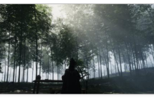 燕云十六声草药包刷新位置在哪