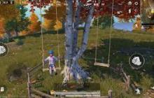 和平精英野餐彩蛋在哪里 探索和平精英野餐彩蛋的具体位置