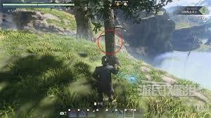 雾锁王国中刺荨麻怎么获得 雾锁王国刺荨麻获取攻略