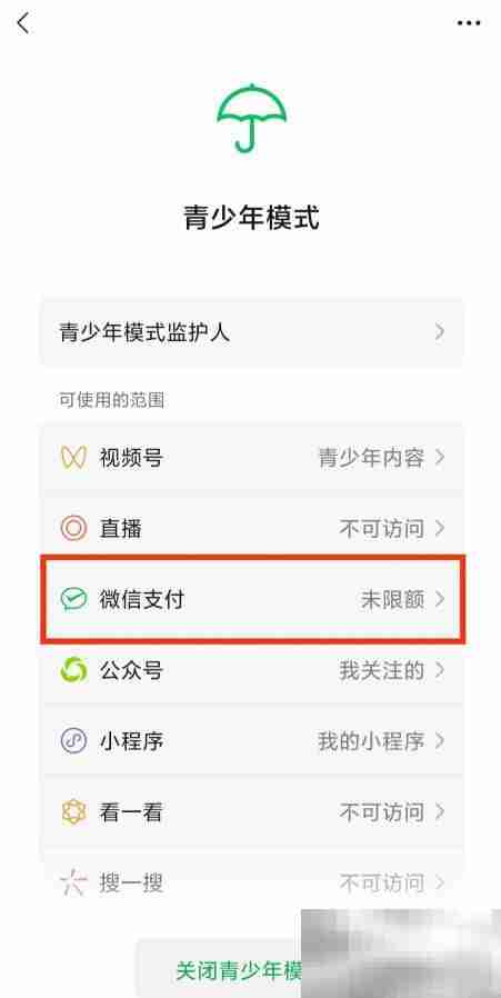 微信青少年模式如何设置限制付款 微信青少年模式设置限制付款教程