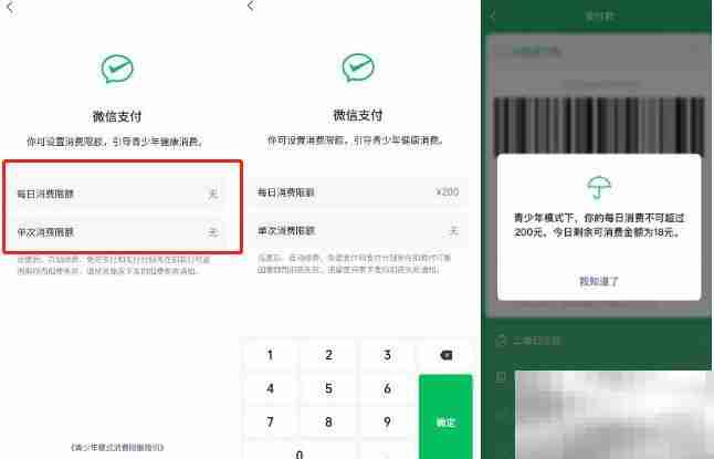 微信青少年模式如何设置限制付款 微信青少年模式设置限制付款教程