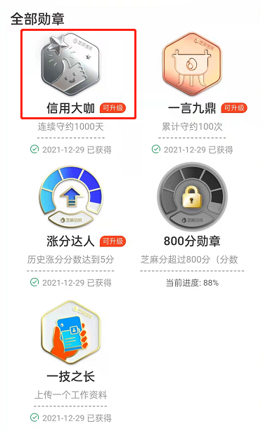 支付宝芝麻成就在哪看 支付宝芝麻信用佩戴徽章方法介绍
