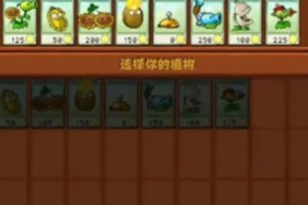 植物大战僵尸杂交版冒险第3关怎么过