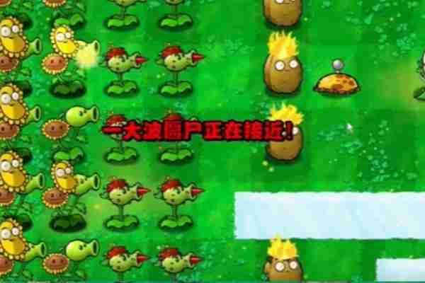 植物大战僵尸杂交版冒险第3关怎么过