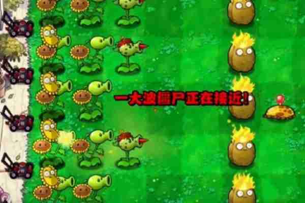 植物大战僵尸杂交版冒险第3关怎么过