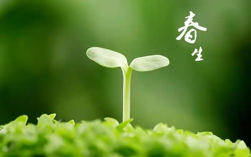 小鸡庄园2月18日答案最新2025 蚂蚁庄园今天的正确答案是什么