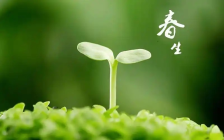 小鸡庄园2月18日答案最新2025 蚂蚁庄园今天的正确答案是什么