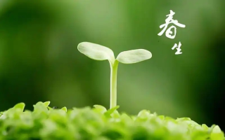小鸡庄园2月18日答案最新2025 蚂蚁庄园今天的正确答案是什么