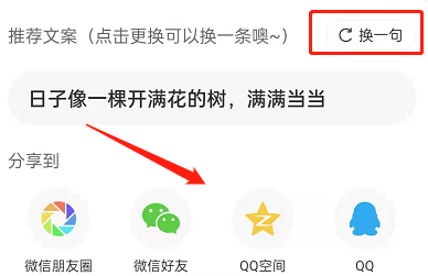 网易云音乐分享文案怎么定制 网易云音乐更换分享文案教程一览