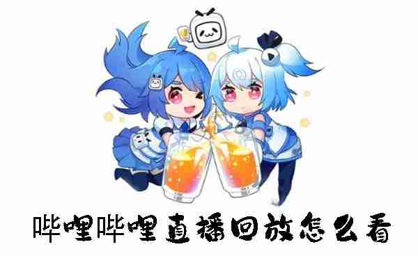 哔哩哔哩直播回放怎么看 哔哩哔哩直播回放查看方法