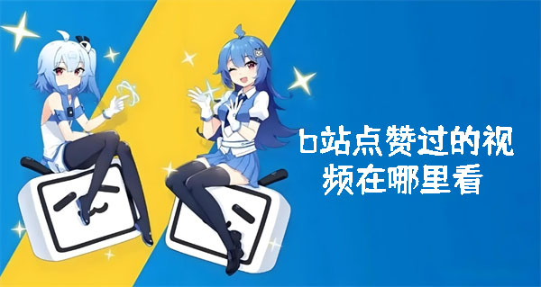b站点赞过的视频在哪里看 b站点赞过的视频查看方法