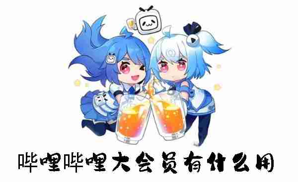 哔哩哔哩大会员有什么用 哔哩哔哩大会员作用介绍