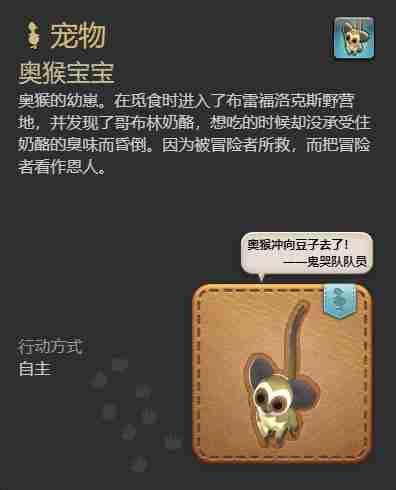 最终幻想14水晶世界奥猴宝宝宠物怎么获取 奥猴宝宝宠物获取攻略