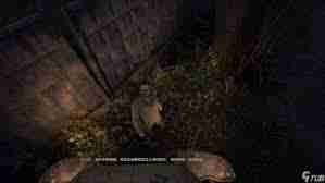 潜行者2:切尔诺贝利之心如何进入红房子打架声音 探索潜行者2:切尔诺贝利之心红房子战斗音效进入方法