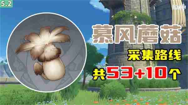 原神慕风蘑菇如何高效采集 63个慕风蘑菇采集路线图一览