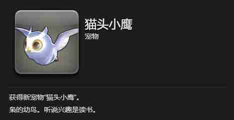 最终幻想14水晶世界猫头小鹰宠物怎么获取 猫头小鹰宠物获取攻略