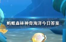 糖果蟹名字由来解析 猜一猜糖果蟹得名的原因