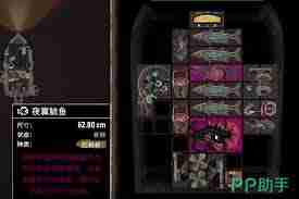 渔帆暗涌第二种鱼饵种类有哪些 渔帆暗涌第二种鱼饵包括哪些