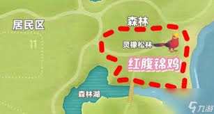 心动小镇新春季第三周四只鸟位置在哪 心动小镇新春季四只鸟第三周寻找攻略