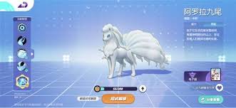 宝可梦大集结阿罗拉九尾怎么玩 宝可梦大集结阿罗拉九尾玩法攻略