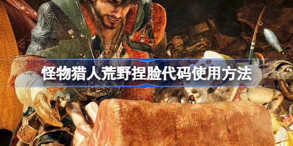怪物猎人荒野捏脸代码使用方法 怪物猎人荒野捏脸代码在哪里使用