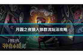 月圆之夜骑士殉道流怎么玩 月圆之夜骑士殉道流玩法攻略