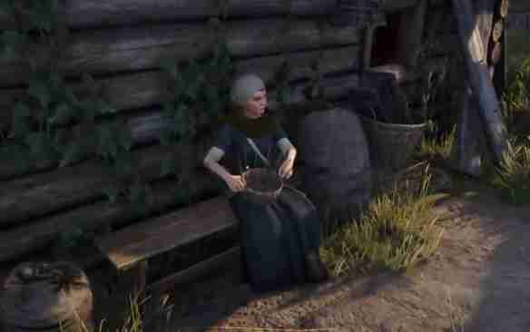 天国拯救2猛禽任务怎么做 天国拯救2任务猛禽流程详细图文版