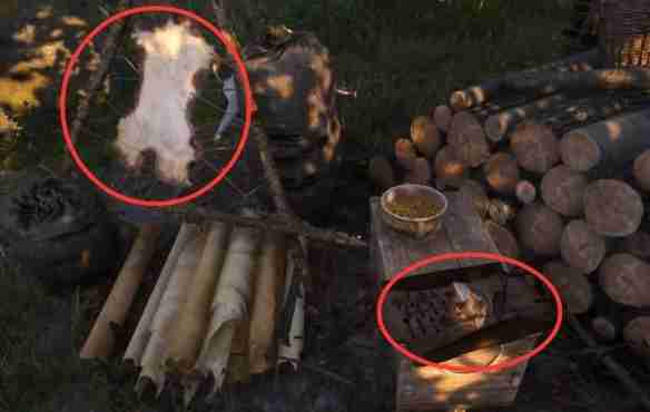 天国拯救2猛禽任务怎么做 天国拯救2任务猛禽流程详细图文版