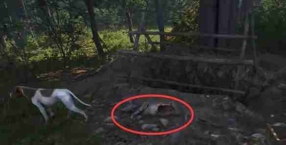 天国拯救2猛禽任务怎么做 天国拯救2任务猛禽流程详细图文版