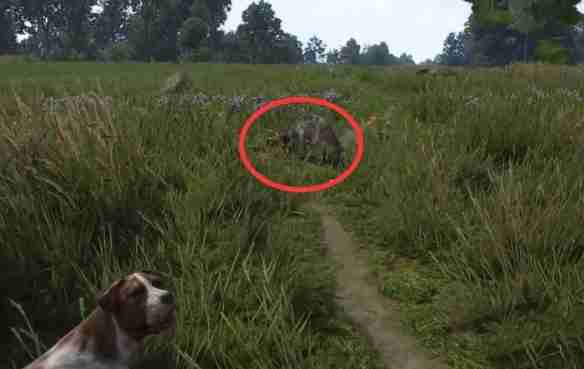 天国拯救2猛禽任务怎么做 天国拯救2任务猛禽流程详细图文版