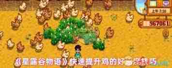 星露谷物语快速提升鸡好感度技巧 星露谷物语怎样增加鸡的亲密度