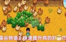 星露谷物语快速提升鸡好感度技巧 星露谷物语怎样增加鸡的亲密度