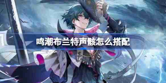 鸣潮布兰特声骸怎么搭配 鸣潮布兰特声骸推荐