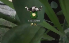 天国拯救2禁果任务怎么做 天国拯救2禁果任务流程详细图文版