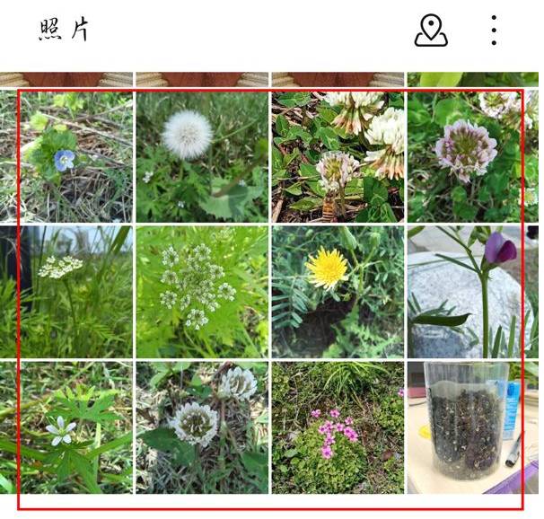 荣耀手机怎么将照片转换成pdf格式_华为手机照片转换成pdf步骤分享